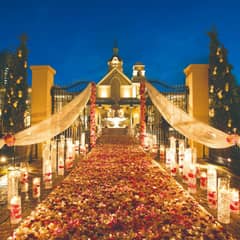 【26年9月～12月挙式限定】60名224万★冬婚プラン