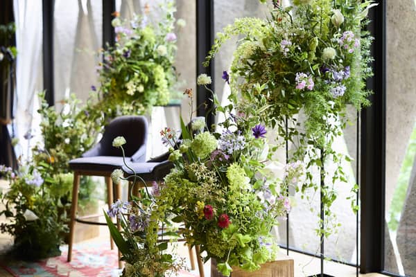 ザ テンダーハウス