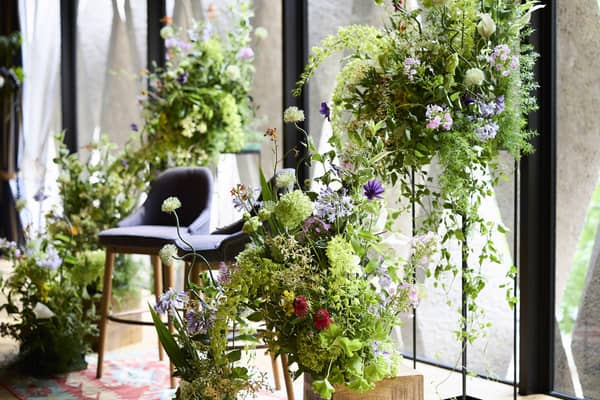 ザ テンダーハウス