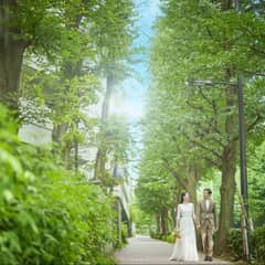 公式サイト限定【最大46万特典】≪27年9～11月≫並木が色めく秋婚