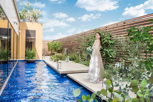 ザ テンダーハウス