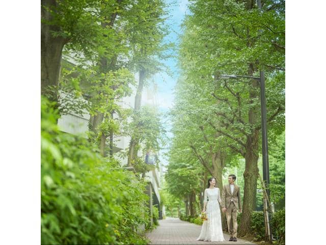 ザ テンダーハウス