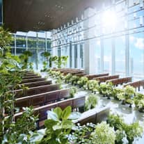 【本格チャペルでセレモニー】挙式のみプラン99,000円~