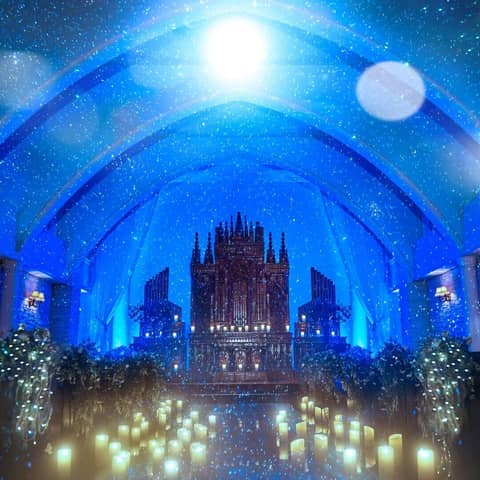 【公式】LA POLTO／The Liverary（ラポルト・ザライヴラリー）｜栃木・小山の結婚式場
