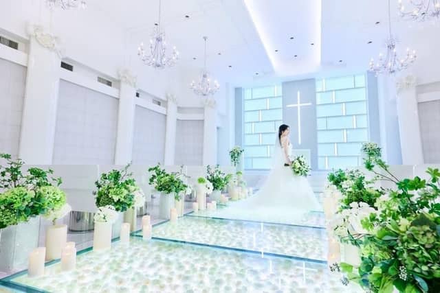 【公式】アメリーモンシュシュ