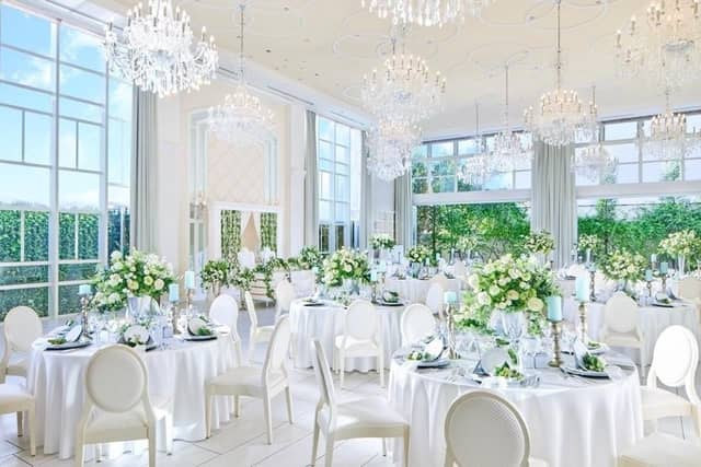 【公式】アメリーモンシュシュ