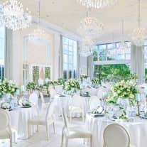 【公式】アメリーモンシュシュ