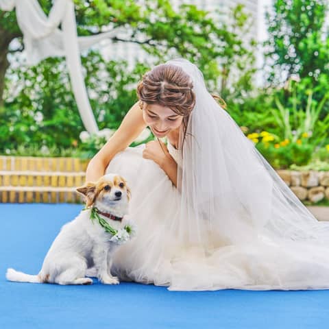 ノートルダム下関 | 下関 結婚式場