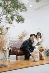 [new]ペットも一緒に特別な一日を。