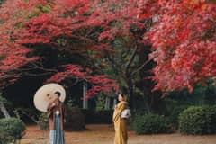 【2026年秋・紅葉と撮影】10-12月フォトウェディングプラン