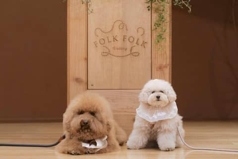 [new]ペットも一緒に特別な一日を。