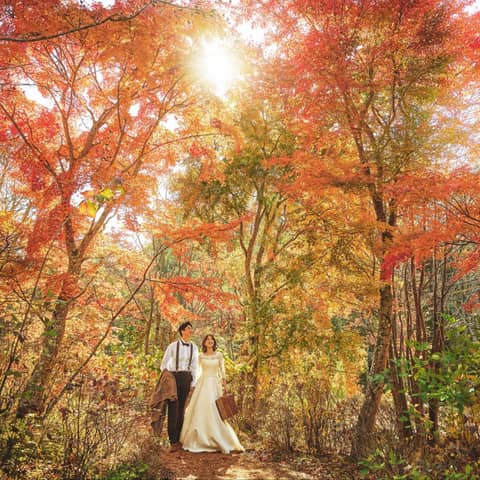 軽井沢ロケーションフォトプラン