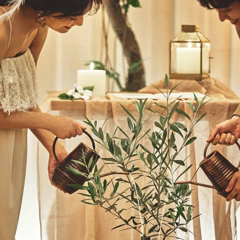 組み合わせてつくる結婚式【コーディネート挙式】フォレスト・コンサート