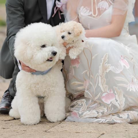 RiN SQUARE[リンスクエア] ｜札幌市中央区・大通からすぐの結婚式場