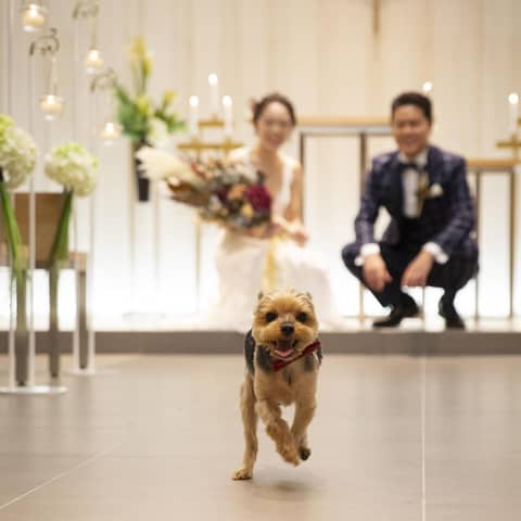 【気軽に叶える】シンプルフォトウエディング
