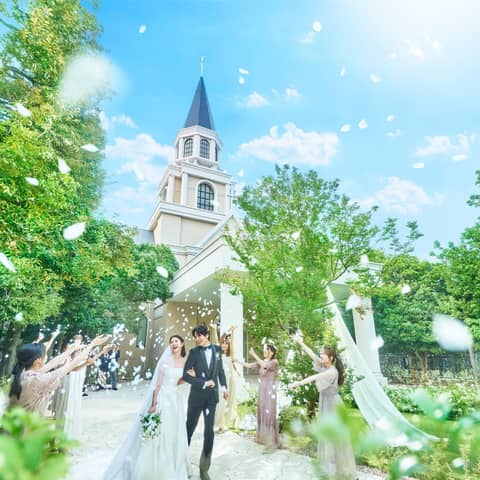 27年6.7.8月限定◆SUMMERプラン＊50名223万円