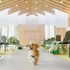 26年6月まで！【愛犬】と過ごす挙式＋パーティー特別なウエディング