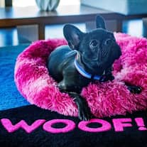 【来館特典】オンラインフェアご参加で、ブライダルフェア優先チケットプレゼント