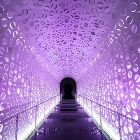 【2026年10月以降の結婚式に】人気シーズンも選べる早得プラン