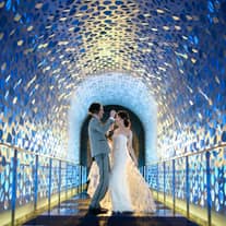 【成約特典】◆5周年特典◆2026年12月末までの挙式ご成約で最大衣装50％OFF