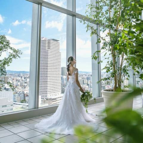 公式限定【最大55万特典】27年6～8月*夏婚プラン