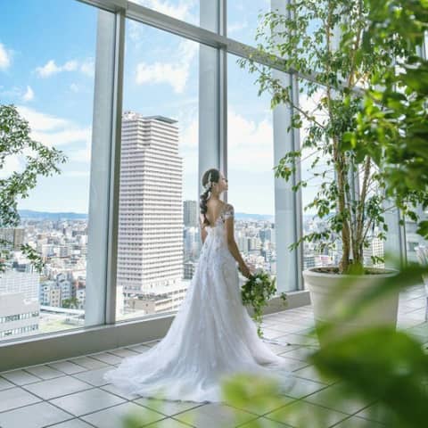 公式限定【最大55万特典】27年6～8月*夏婚プラン