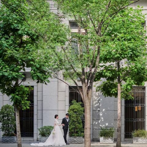 公式限定【最大75万特典】26年6～8月迄<50名209万>