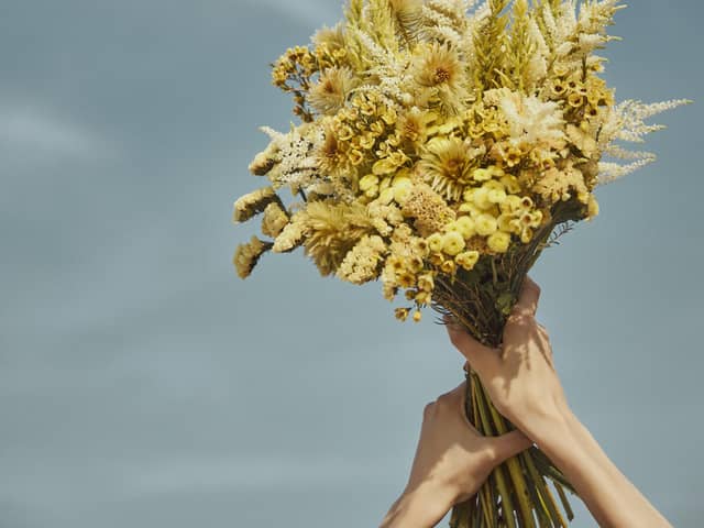 LAZOR GARDEN SAPPORO(ラソール ガーデン 札幌)