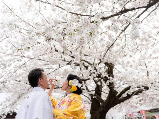 【三嶋大社で家族中心の少人数結婚式】富士山三島 東急ホテル