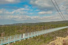 家族も参加する滞在型ウエディング 三島・伊豆の観光がお奨めです