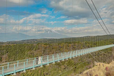 家族も参加する滞在型ウエディング 三島・伊豆の観光がお奨めです