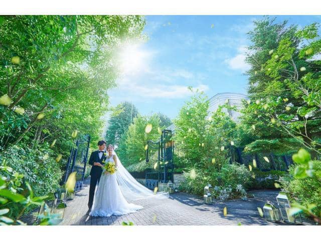 目白の森　メーヤー・ライニンガー