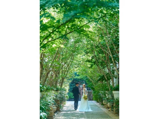 目白の森　メーヤー・ライニンガー